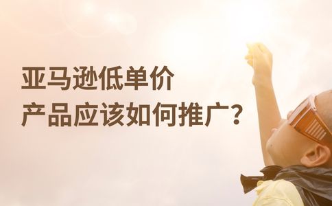 亚马逊低单价（30美金以内）的产品应该如何推广？